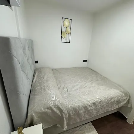 Cozy One Bedroom 아파트 *